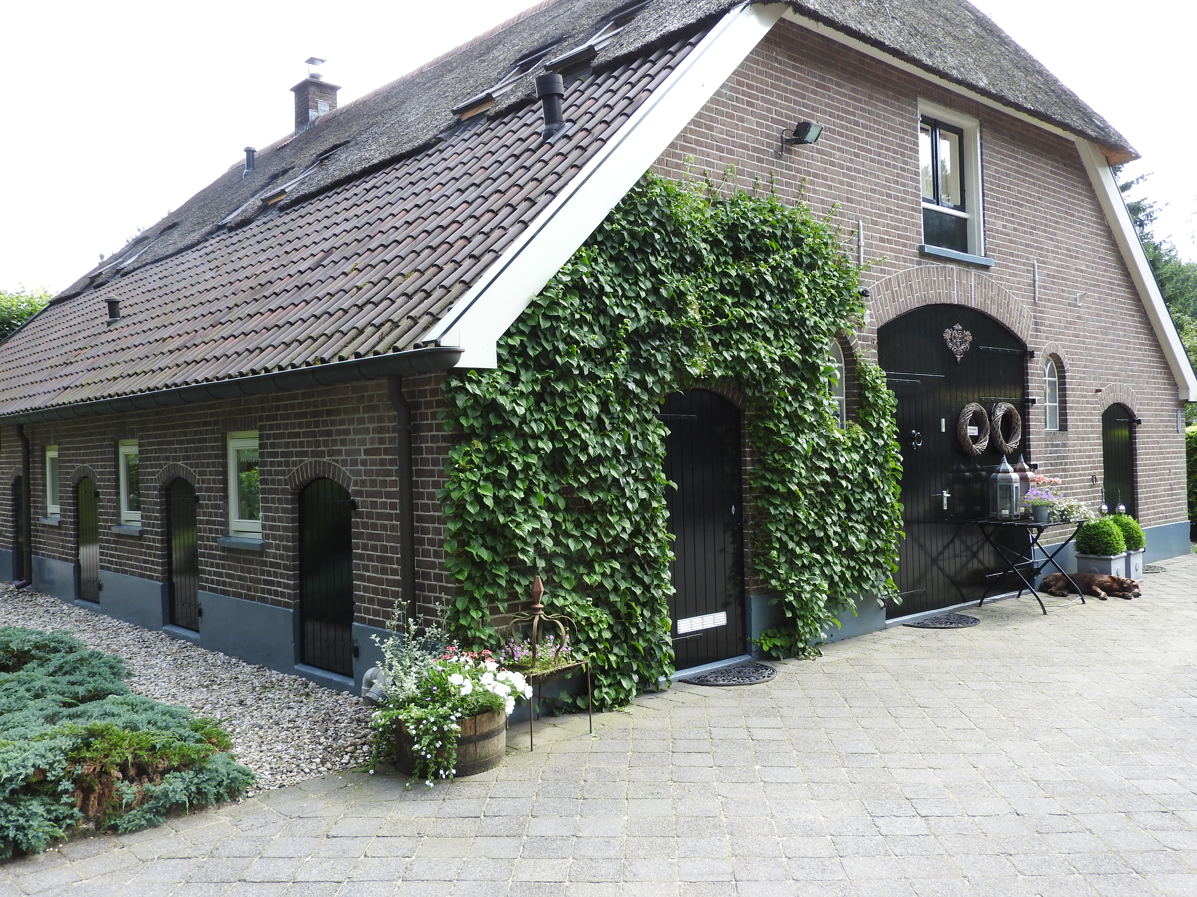 Bed and Breakfast - Tonia's Hoeve